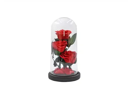 Естествена роза в стъкленица